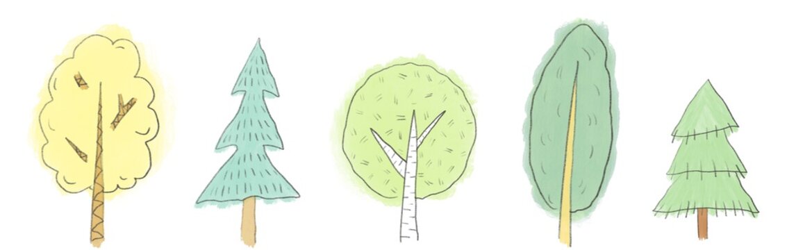 Fototapeta Set of five different trees. Childrens illustration on a white background