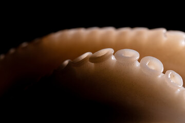 Close up fresh raw octopus or cuttlefish tentacles over dark background © alesmunt