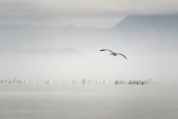 Lago di Garda