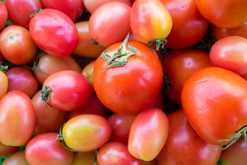A hand holding fresh red tomatoes, A group of tomatoes in a basket that is to cook
