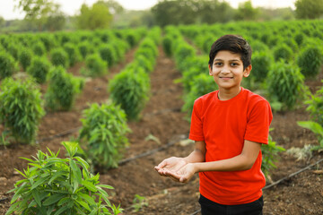 cute indian child at agriculture field