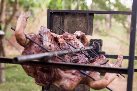 Whole Pig Roasted On The Rotisserie Barbecue. Rustic Traditional Pork Barbecue Throughout Brazil. Photograph With Upper Space With Blur.