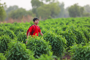 Cute indian child with sack bag at agriculture field