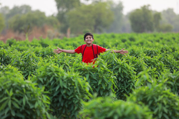 Cute indian child with sack bag at agriculture field