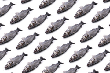 raw sea bass pattern over light background, seafood pattern