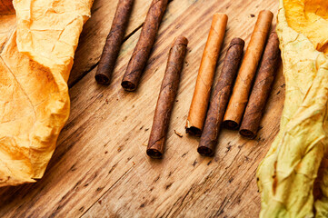 Group cigars and tobacco leaves