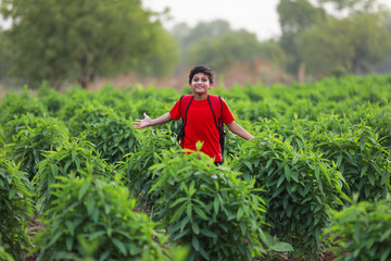 Cute indian child with sack bag at agriculture field