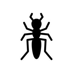 insect