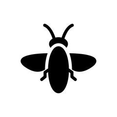 mosquito