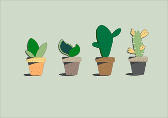 4 cactus in a pot