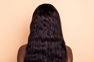 Back photo of natural perfect brunette lady with long silky smooth hairstyle isolated beige...