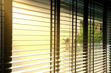 Evening sun light outside wooden window blinds, sunshine and shadow on window blinds , decorative interior home concept