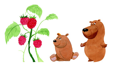 Cute bears with a raspberry bush. Watercolor illustration. Cartoon style. Green leaves and red berries. isolated on white background for banners, site, cards, calendar