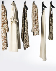 Elegant and trendy women's clothes hanging
