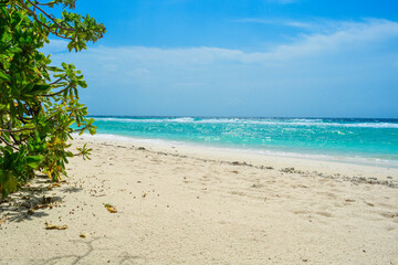 Sandy beach on a tropical island. Beautiful view with ocean and sky on sunny day