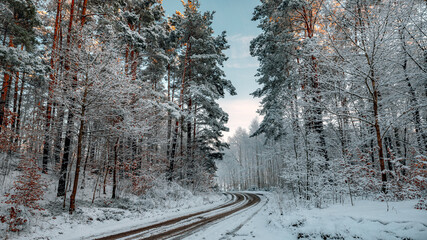 winter landscapes with snow-covered forest