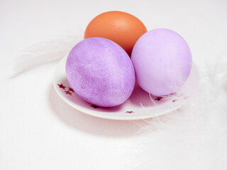 Colored eggs on plate with on white background. Copy space.  Easter concept.