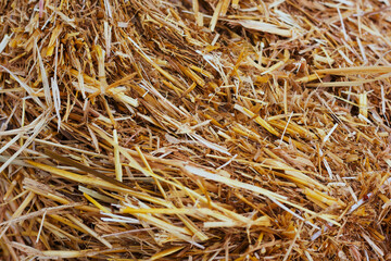 detail of hay bale. texture on the farm