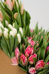 Lots of pink, white and salmon tulips in crafting packaging close-up on a white background.