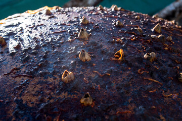 Rusty texture on a metallic maritime ball
