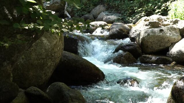 Video de c&aacute;mara lenta de un rio con insectos volando
