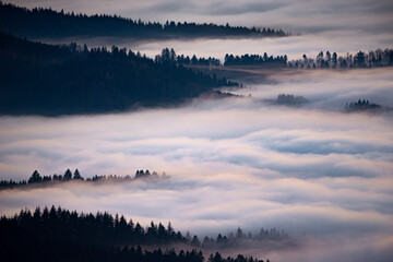 Fog in the Black Forest National Park, Germany
Inversionswetterlage im Nationalpark Schwarzwald