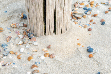 Fototapeta na wymiar Dutch beach with beach posts and beautiful shells on the white sand.