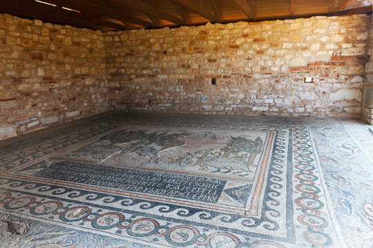 Floor mosaics from the Southern Pastophorion (pastophoria) in the Basilica of Doumetios in ancient Nicopolis (Nikopoli), in Preveza, Epirus, Greece