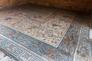 Floor mosaics from the Southern Pastophorion (pastophoria) in the Basilica of Doumetios in ancient...