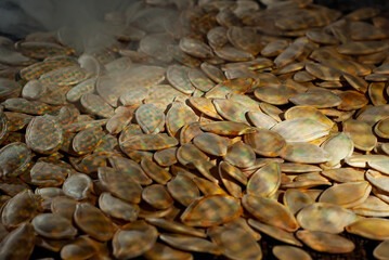 Pumpkin seeds close up. Texture of nuts on a background of smoke. Lots of nuts in a pile. Contrasting dramatic light as an artistic effect. Steam from roasting seeds.