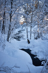 Obraz premium Snowy creek in lapland