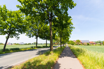 Fototapeta na wymiar Radweg an einer Landstraße im Sommer