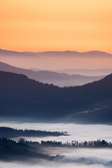 Fog in the Black Forest National Park, Germany
Inversionswetterlage im Nationalpark Schwarzwald