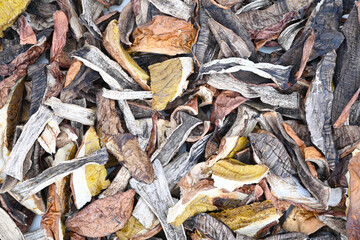 Top view of dried mushrooms poured onto a tray.