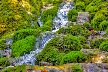Fototapeta na wymiar Sopotnica waterfall, near Prijepolje, Serbia