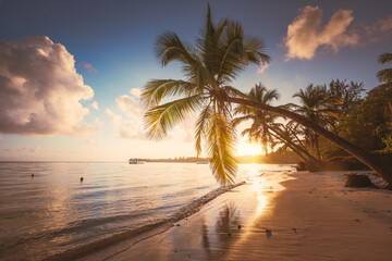 Naklejka na ściany i meble Landscape of paradise tropical island beach, sunrise shot