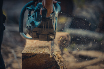 The close-up of a man's hands cutting a fallen tree trunk with a chainsaw causes sawdust to fly