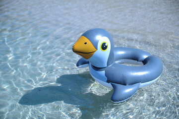 rubber duck in pool