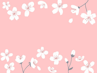 Spring blossom horizontal banner. Sakura flowers card vector illustration. Pink background with floral border.