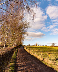 country road in spring with blue skies