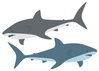 Gray and turquoise shark in the set. Vector image.