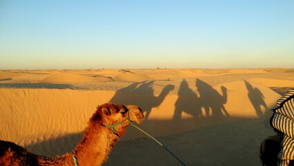 Sahara Desert, Tunisia, North Africa
