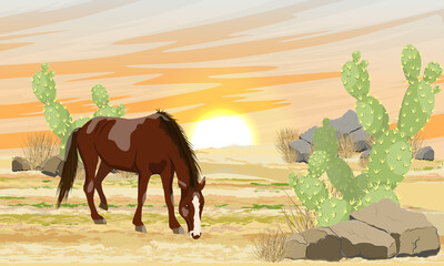 Brown horse in the desert at sunset. Sand, stones and thickets of Opuntia cactus. Realistic vector landscape.