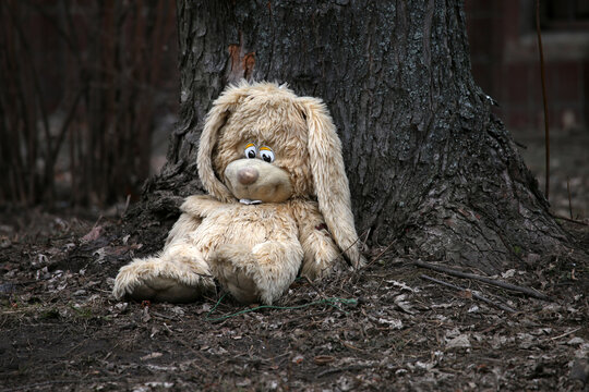 plush hare under the tree