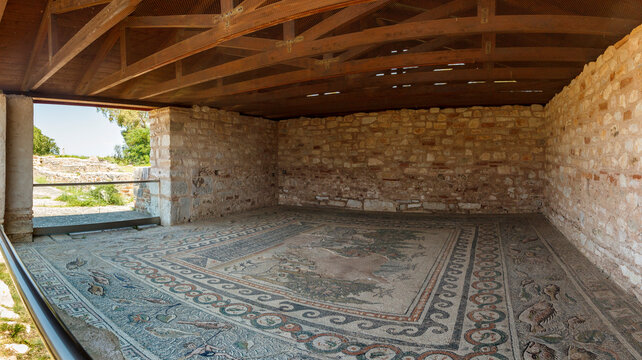 Floor mosaics from the Southern Pastophorion (pastophoria) in the Basilica of Doumetios in ancient Nicopolis (Nikopoli), in Preveza, Epirus, Greece