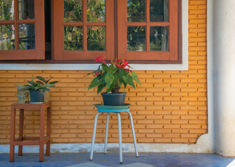 Fototapeta na wymiar Red Anthurium flowers in pot decorating the classic window of a unique orange brick house.