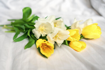 A beautiful bouquet of spring flowers tulips lies on a white sheet. Good morning. Still life of yellow and white tulips.