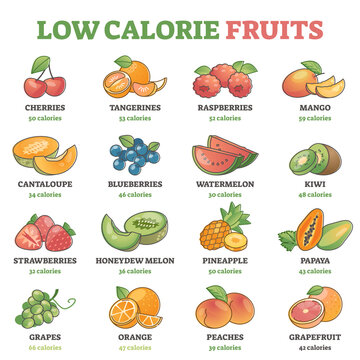 Low calorie fruits examples with precise nutrition data outline diagram