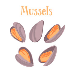 Obraz premium Seafood healthy nutrition product. Mussels in shells.