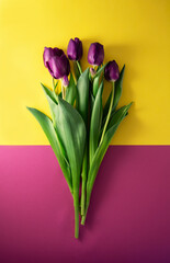 Spring flowers. Bouquet of purple tulips on a yellow-pink background. A bouquet for any occasion